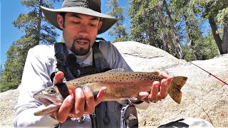 Trout Fishing the Sierras in California Day Two Catch and Cook and Camp [upl. by Ardnuhsor]