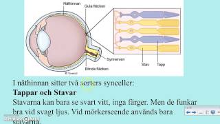 Ã–gat och synen [upl. by Tija]