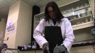 Proximate Analysis  Sample Preparation [upl. by Patrich]