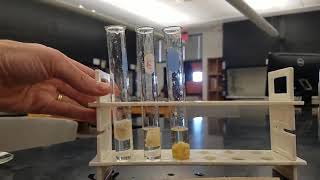 Lab 14 Enzyme activity experiment [upl. by Aztinad398]