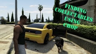 GTA V How to Find Collectables Using Chop [upl. by Heidt]