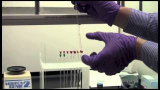 Basic NMR Sample Preparation  Yale CBIC [upl. by Oicnedif909]