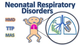 Neonatal Respiratory disorder  hyaline membrane disease  RDS  TTN MAS NEONATOLOGY SERIES CH7 [upl. by Rokach313]