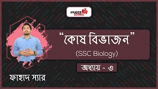 Samz Vai  Ki Maya Lagaili  কি মায়া লাগাইলি মোরে  Bengali Song  2019 [upl. by Platto]