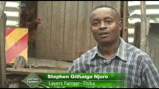 Poultry Farming Success Story Young poultry farmer in Thika  Part 1 [upl. by Adar]