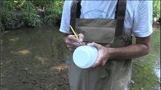 How to Collect Water Samples [upl. by Relly992]