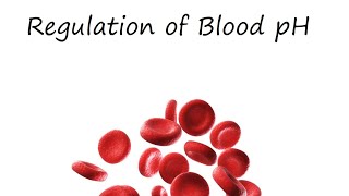 Regulation of Blood pH [upl. by Schmidt]