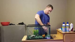 How to set up a fish tank [upl. by Joy]