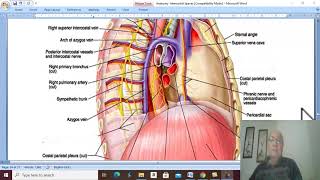 Respiratory Module 21  Azygos veins by Dr Wahdan [upl. by Suinotna906]