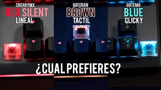 Switches Red SILENT vs Brown vs Blue  Test de sonido Keyboards ASMR [upl. by Naejamron951]