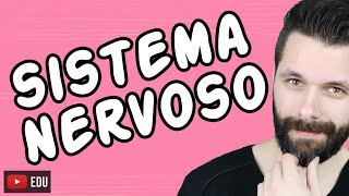 SISTEMA NERVOSO  FISIOLOGIA  Aula  Biologia com Samuel Cunha [upl. by Epifano637]