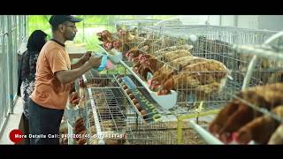 Poultry farming with modern facilities Furnished cage [upl. by Stoddard64]