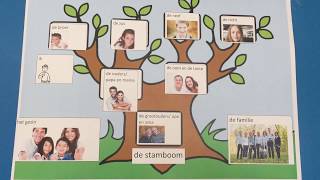 Thema familie onderwerp de stamboom [upl. by Melvin988]