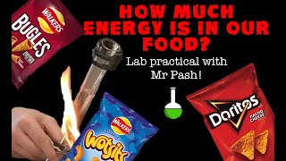 How much energy is in our food Crisp burning lab practical with Mr Pash [upl. by Erodaeht]