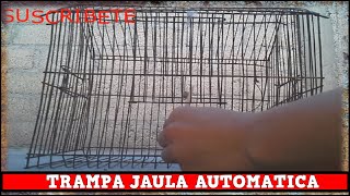 Trampa Automatica Para Aves Con Jaula Automatica y Casera  YMX SUPERVIVENCIA [upl. by Gianna]