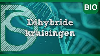 Examen biologie  Dihybride kruisingen Erfelijkheid [upl. by Ilyah]