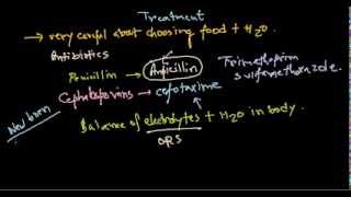 Escherichia coli treatment [upl. by Litta]