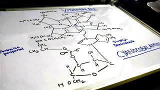 ALL ABOUT VITAMIN B12 COBALAMINESTUDY [upl. by Libbi]