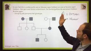 Biologie van Tim  Stambomen [upl. by Arly]