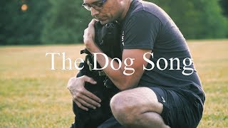 The Dog Song by Dhani Harrison Netflixs Docuseries quotDogsquot main theme [upl. by Major80]