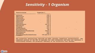 Interpreting a Urine Culture amp Sensitivity [upl. by Aiykan]