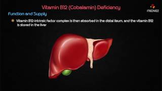 Vitamin B12 Deficiency  USMLE Biochemistry Case based discussion [upl. by Esertal]