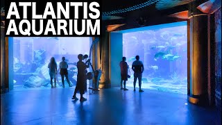 ATLANTIS  The Lost Chambers Aquarium Complete Tour  4K  Dubai Tourist Attraction [upl. by Apul]