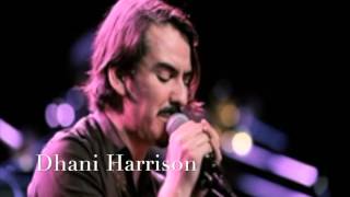 Dhani Harrison  SAVOY TRUFFLE COVER Beatles HD [upl. by Neysa758]