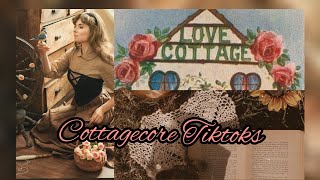 Cottagecore Tiktoks 12 [upl. by Sladen]