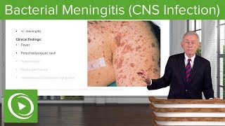 Bacterial Meningitis CNS Infection – Infectious Diseases  Lecturio [upl. by Ahtaga]