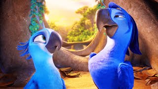 RIO 2 Clip  quotRobertos Nestquot 2014 [upl. by Llerdnam909]