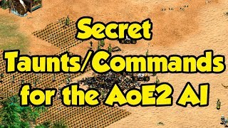 Secret TauntsCommands for the AoE2 AI [upl. by Allehcim]