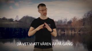 VÅREN ÄR PÅ GÅNG [upl. by Selrac]