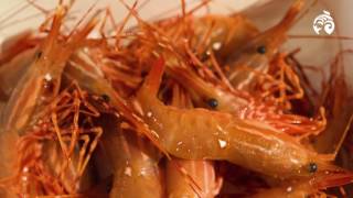 How to Cook Spot Prawns  Sustainable Seafood  Ocean Wise [upl. by Atteynot241]