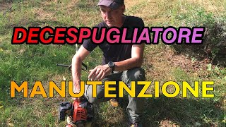 DECESPUGLIATORE MANUTENZIONE [upl. by Arny118]