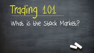 Trading 101 What is the Stock Market [upl. by Anilegna]