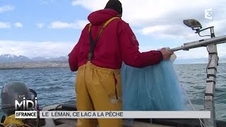 SUIVEZ LE GUIDE  Le Léman ce lac a la pêche [upl. by Adyol]