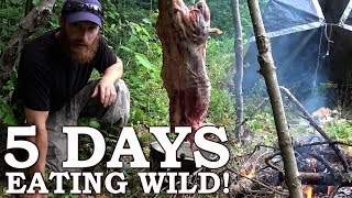 5 DAYS eating ONLY WILD FOODS The Wilderness Living Survival Challenge  COMPLETE SEASON 2 [upl. by Behl]