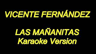 Vicente fernandez  Las Mañanitas Karaoke Lyrics NUEVO [upl. by Dirgis]