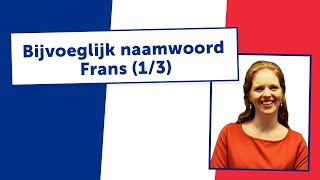 BIJVOEGLIJK NAAMWOORD FRANS  uitleg door docent 13 [upl. by Silverstein]