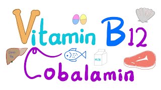 Vitamin B12 Cobalamin 🐚 🥩 🐠  Most Comprehensive Explanation [upl. by Nelon]