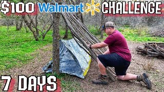 7 Day 100 Walmart Survival Challenge  Day 1  Into the Wild [upl. by Nitsoj]