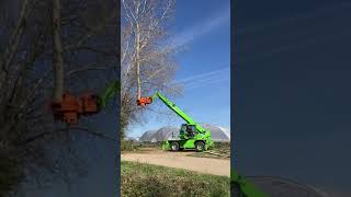 Merlo Roto Telehandler with grapple saw tree cutting [upl. by Bloomer913]