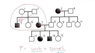 BiologieErfelijkheiddominant of recessief in stambomen [upl. by Laney488]