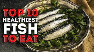 Top 10 Healthiest Fish To Eat [upl. by Nnairb610]