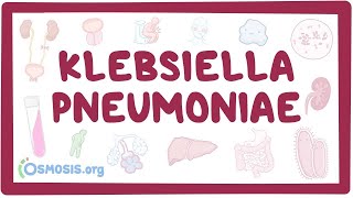 Klebsiella pneumoniae  an Osmosis Preview [upl. by Janerich166]