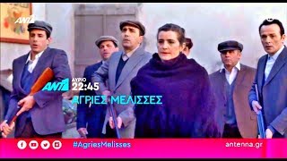 ΑΓΡΙΕΣ ΜΕΛΙΣΣΕΣ  ΕΠΕΙΣΟΔΙΟ 57 ΠΕΜΠΤΗ 1612020  TRAILER FULL HD [upl. by Viole306]