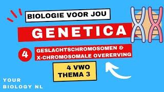 4 vwo  Genetica  4  Geslachtschromosomen amp Xchromosomale overerving [upl. by Ary]