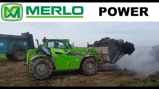 Merlo TF 337 telehandler loading manure [upl. by Aliber389]