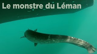 Le monstre du Léman [upl. by Aihsenyt]